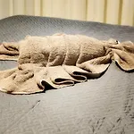 Sonho De Apartamento Pe Na Areia